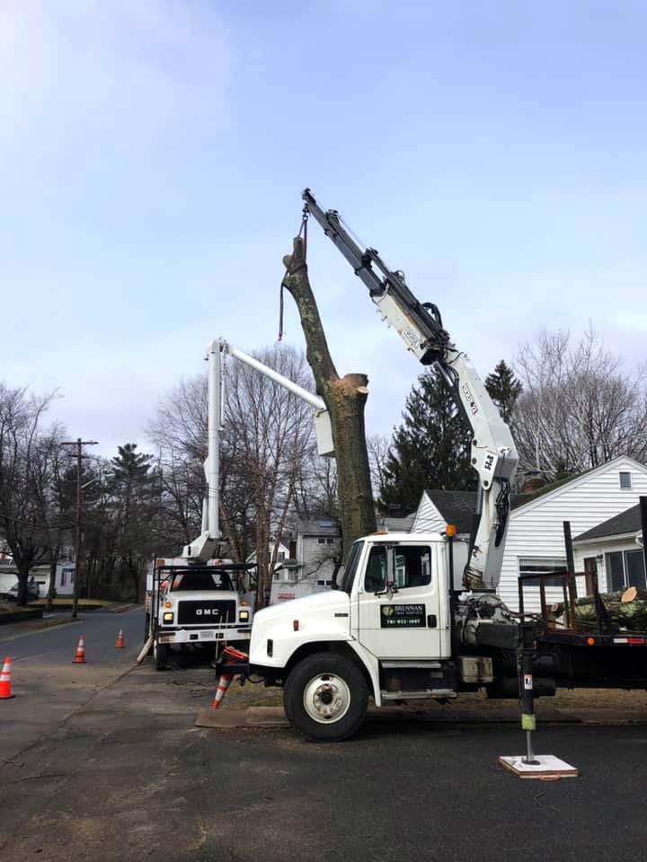 Brennan Tree Service Crane